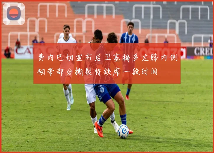 费内巴切宣布后卫塞梅多左膝内侧韧带部分撕裂将缺席一段时间