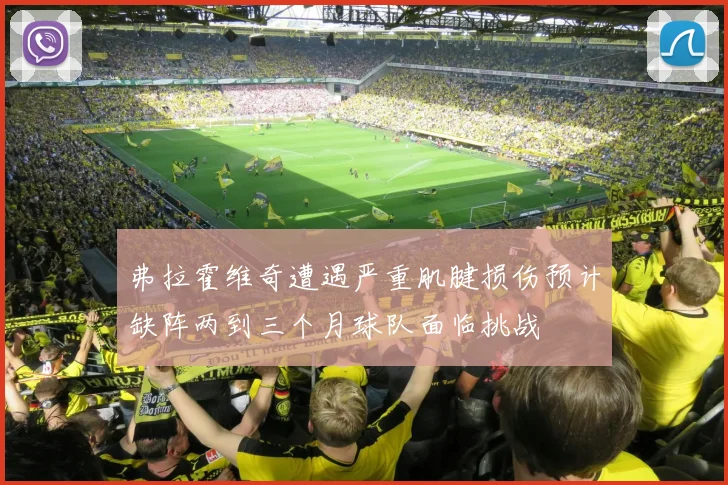 弗拉霍维奇遭遇严重肌腱损伤预计缺阵两到三个月球队面临挑战