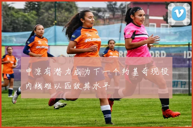 申京有潜力成为下一个约基奇现役内线难以匹敌其水平