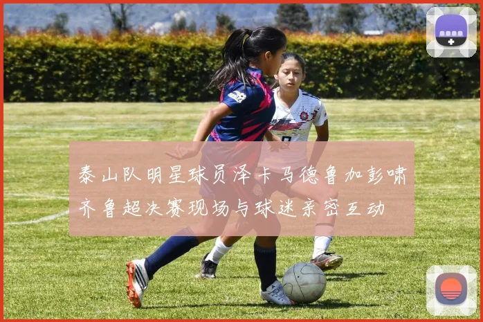 泰山队明星球员泽卡马德鲁加彭啸齐鲁超决赛现场与球迷亲密互动